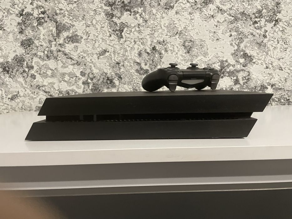 Плестейшин 4 ідеальний стан