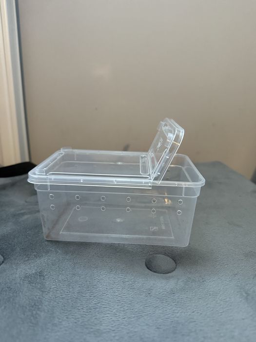 Pojemnik na pająka lub inne owady