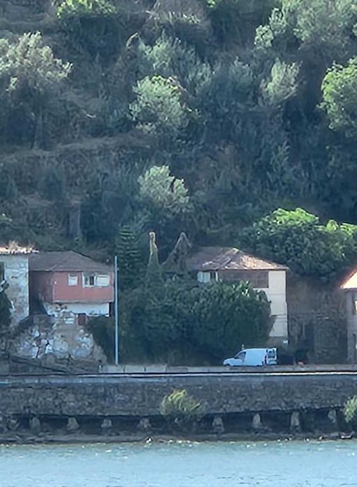 Terreno Urbano, na Margem do Rio Douro, com duas casas para Recuperar - Baião ( Ancede e Ribadouro )