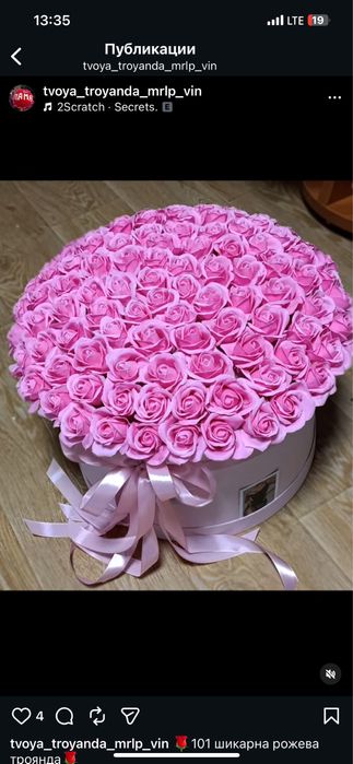 101 троянда , мильні троянди