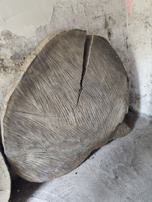 Plastry krążki dębowe na blat stół drewniane drewno