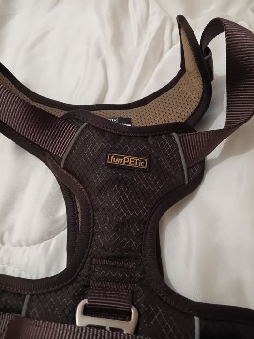 Шлея для собак funPETic Essential Dog Harness