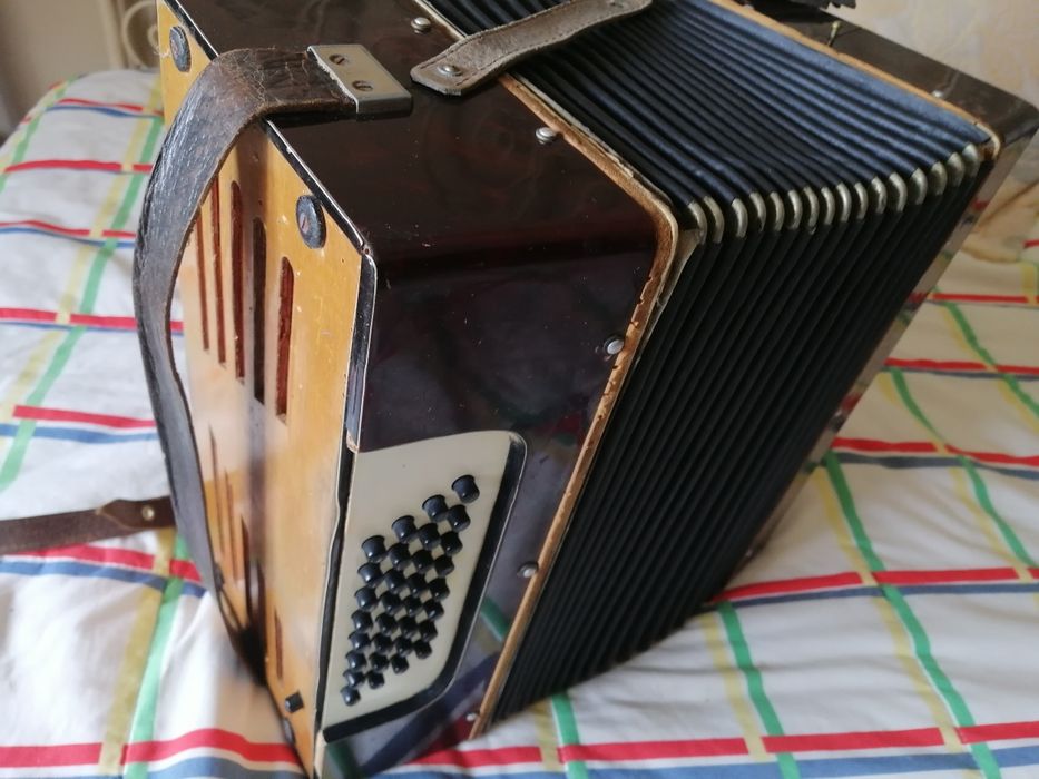 Acordeon. Acordeão