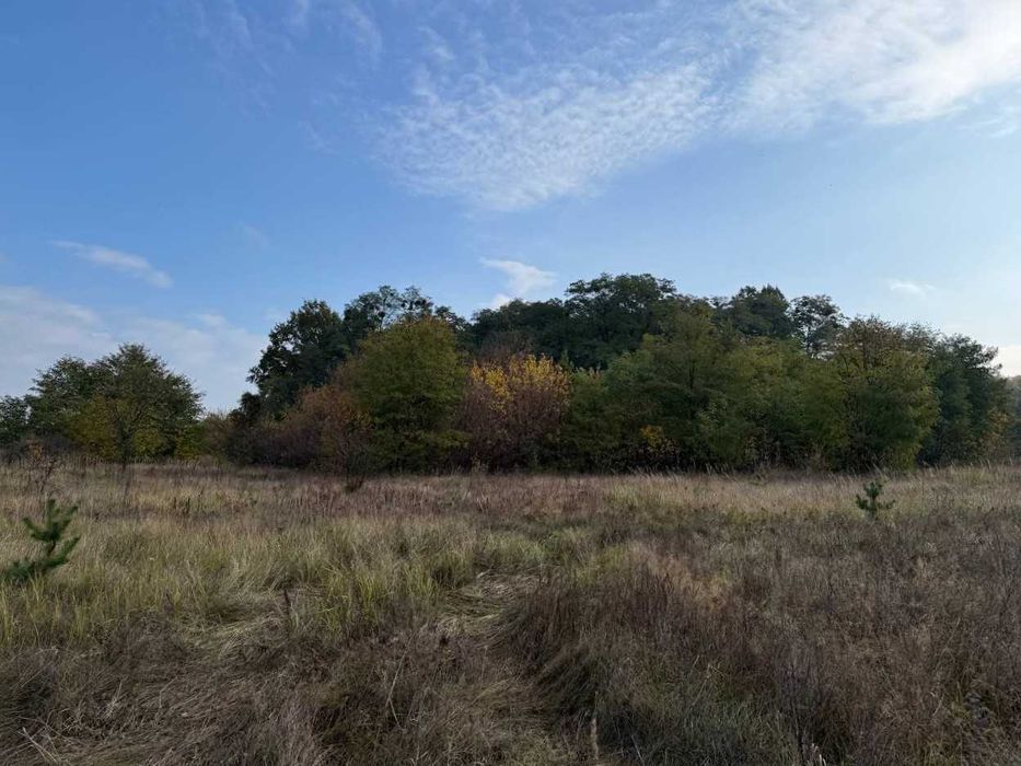 Продаж ділянки 27,5сот під забудову.Двохфасадна.Ліс.Світло поруч.ID:41