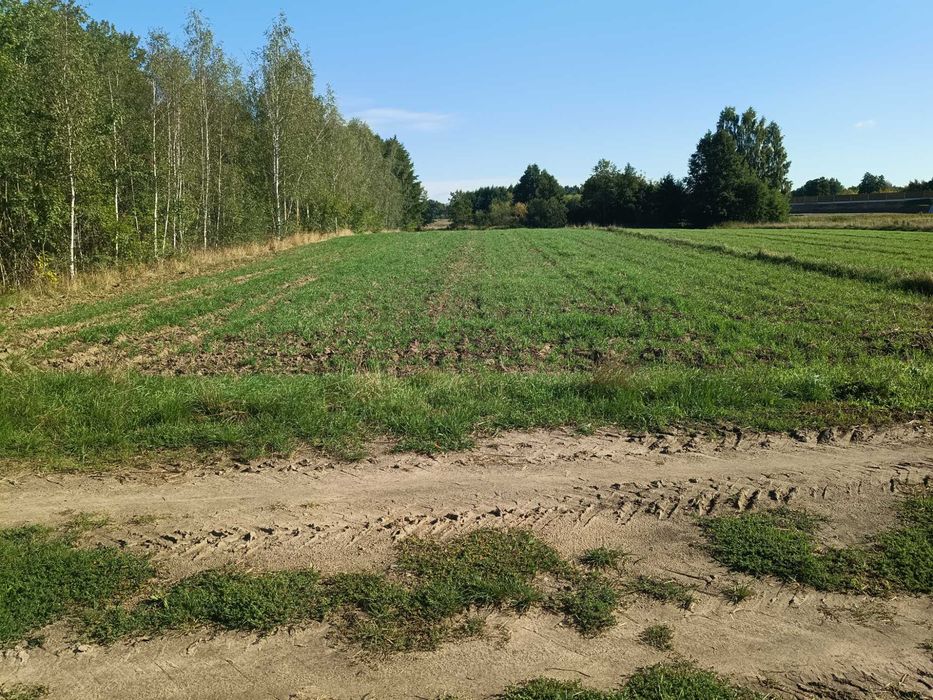 Działka do sprzedania