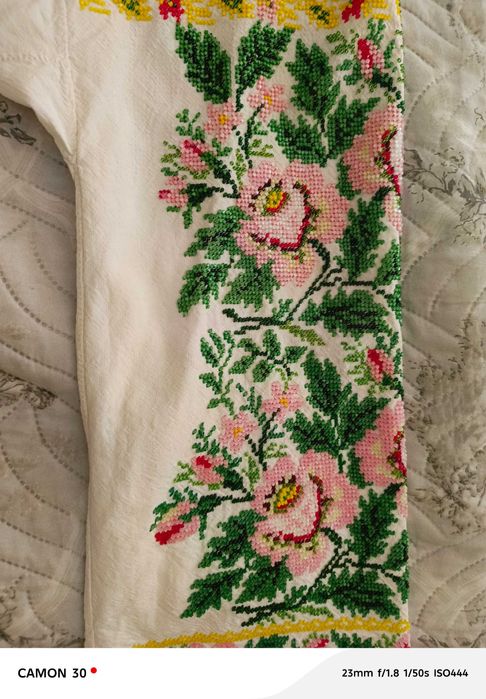 Сорочка вишита бісером + спідниця