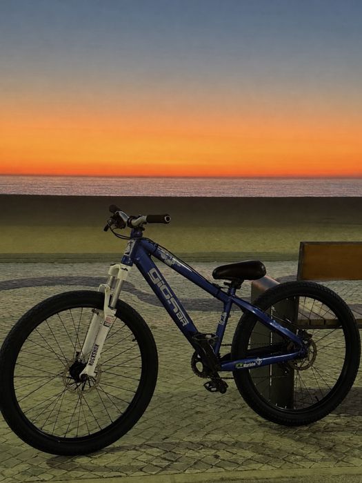 Dirt jump aro 26