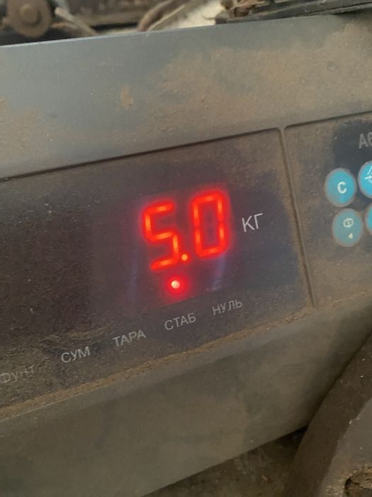 Гира 8 і 5 кг одним лотом