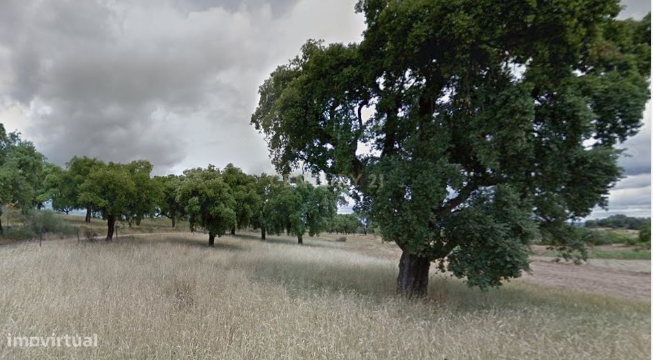 Terreno Rústico em Aldeia de Santa Margarida, Idanha a Nova
