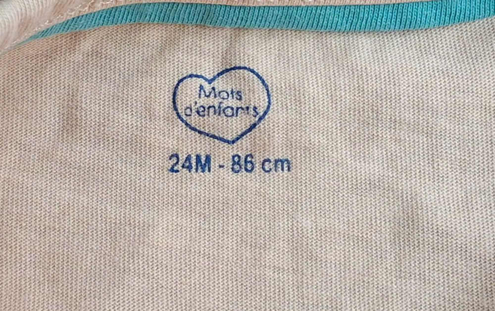 T-shirt Salmão 24 meses