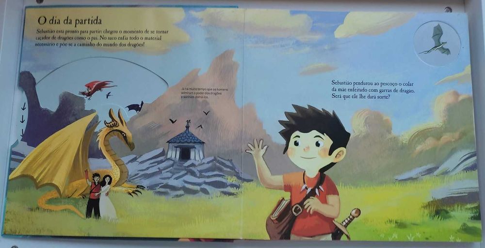 Livro infantil "Os dragões"