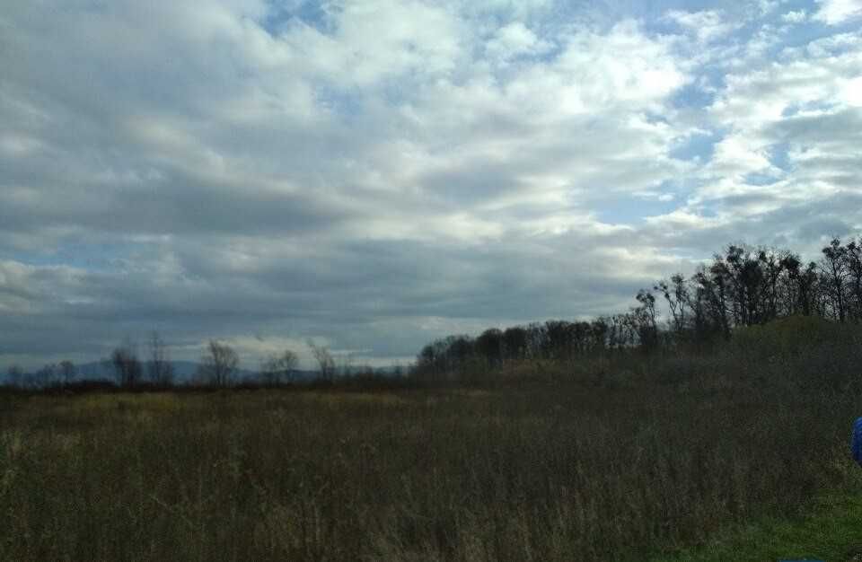 Земля ОСГ, 0.9997 га,  Мукачівський р, с Павшино (ур Біля Водокачки)