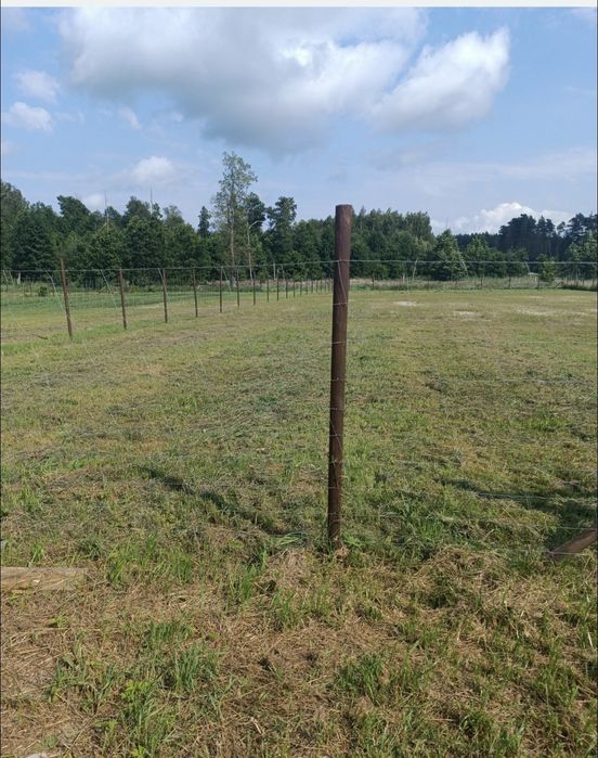 Super działka na Mazurach (NIE ROD)