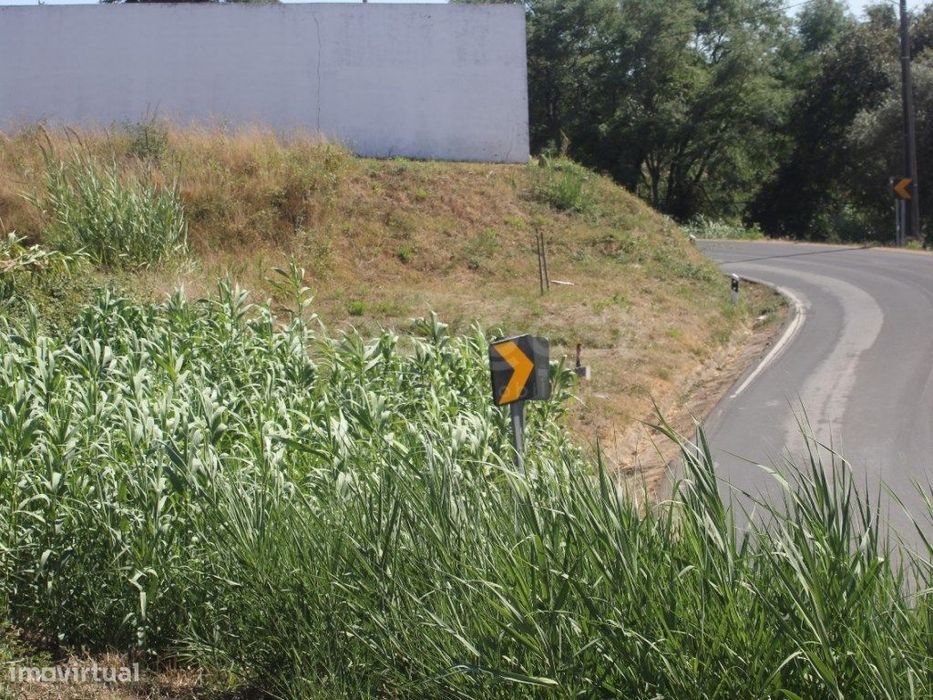 Terreno para construção em Casal do Rei - Rio Maior / Caldas da Rainha