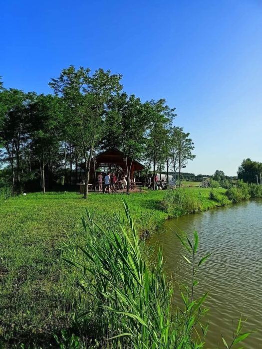 pokoje, domek, agroturystyka