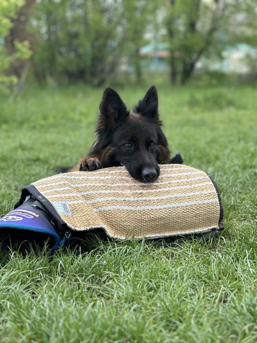 Щастя яке можна придбати