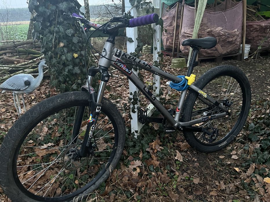 Kellys whip 10 raw 2023r