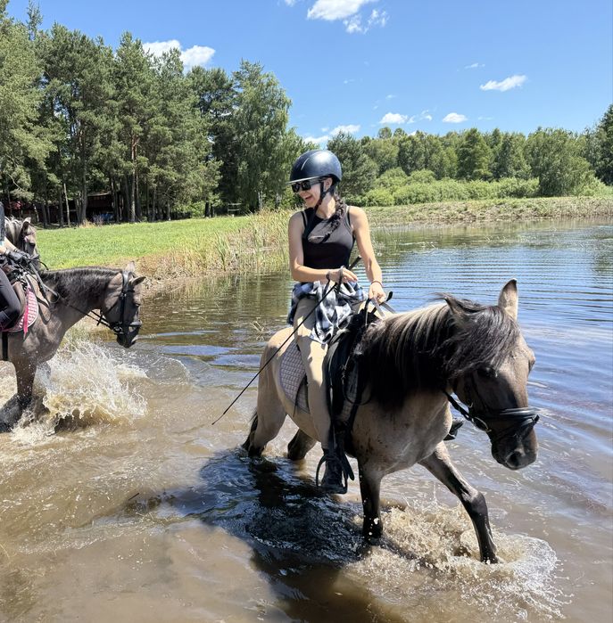 Wałach kuc kn 4 lata
