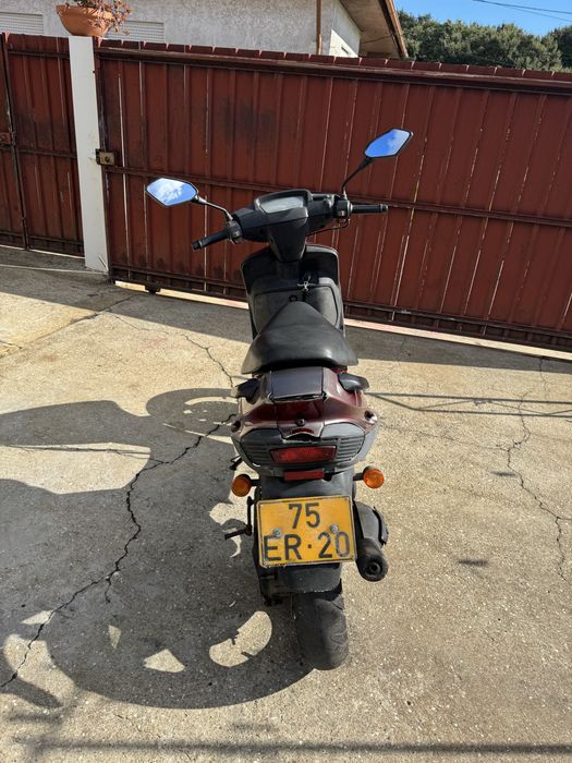 Macal CY 50