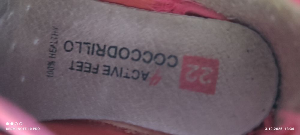 Kurtka wiosenna 86 buty cocodrillo 22 zestaw 19szt