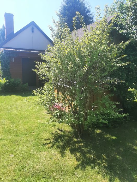 Działka Rekreacyjna ROD Stary Sącz 5Ar - Widok 6