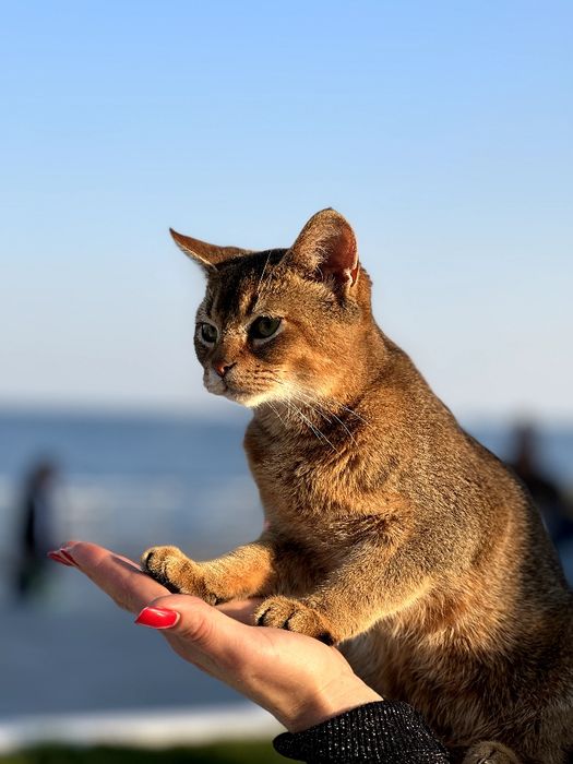 Шикарный ,нежный и ласковый мальчик