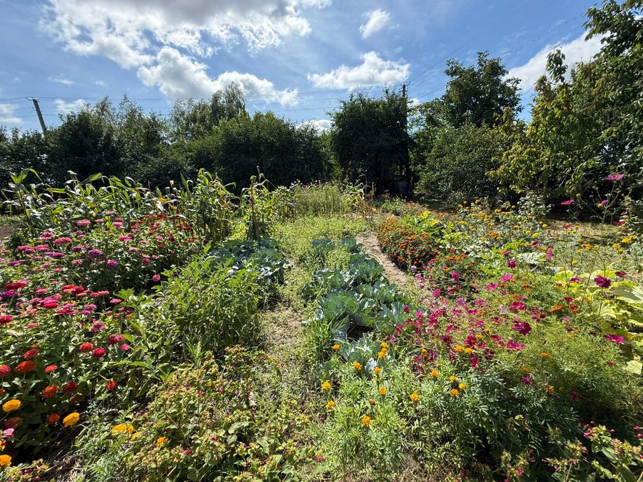 Продам 3 кім будинок в смт Баришівка, Київська область, Є ВІДЕООГЛЯД