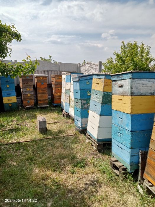 Многокорпусные ульи, рамки 230