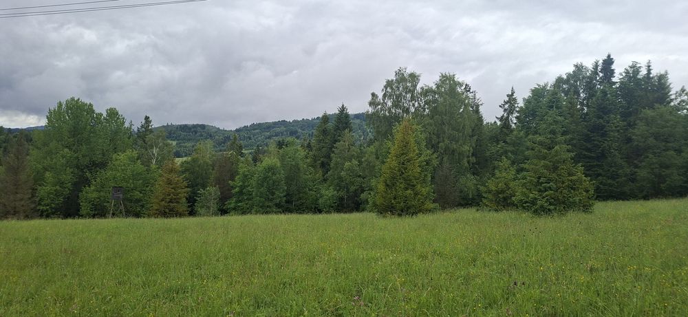Działka Glinka Smerekow - Więcej