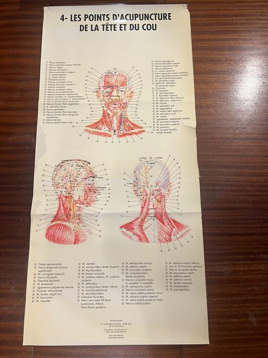 12 Posters / Pranchas de Acupuntura e Anatomia – PHU-XUAN Paris | MTC