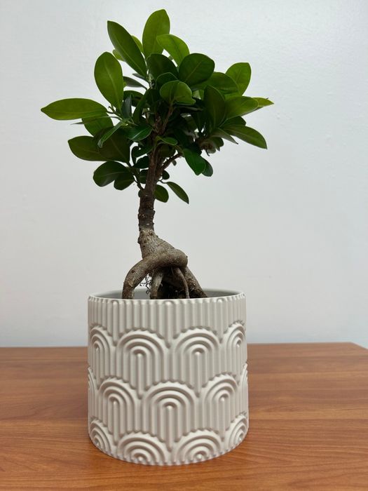 Impressão e Modelagem 3D