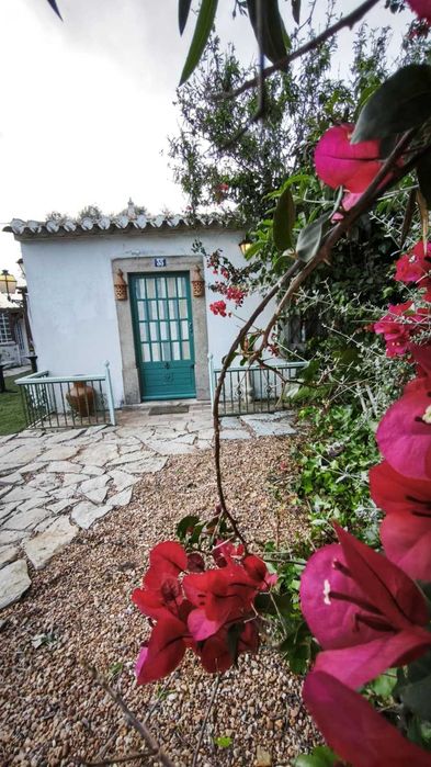 Ferias em Quinta com alojamentos tipicos na Ria Formosa em Tavira
