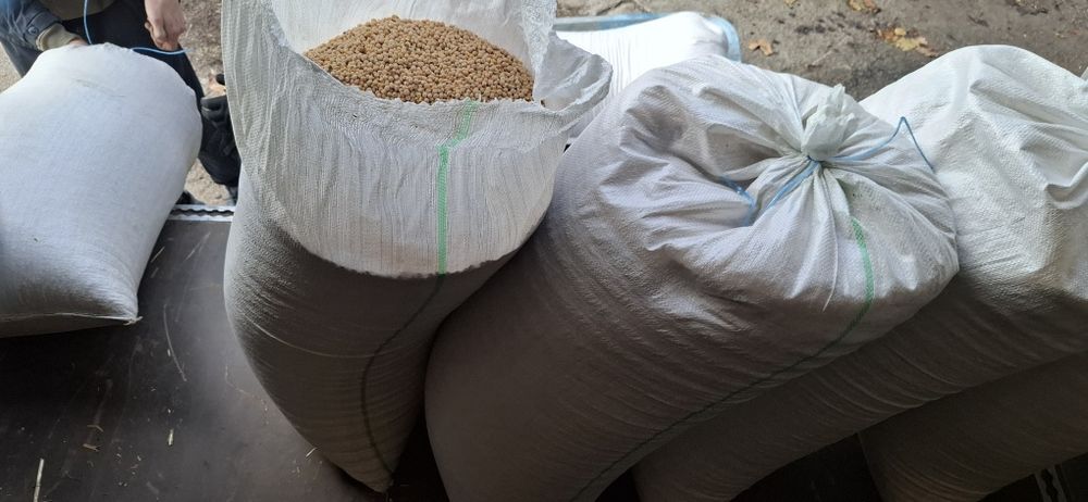 Продам горох на корм