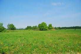 Продам участок в Тарасовке по ул.Б.Хмельницкого 18 соток