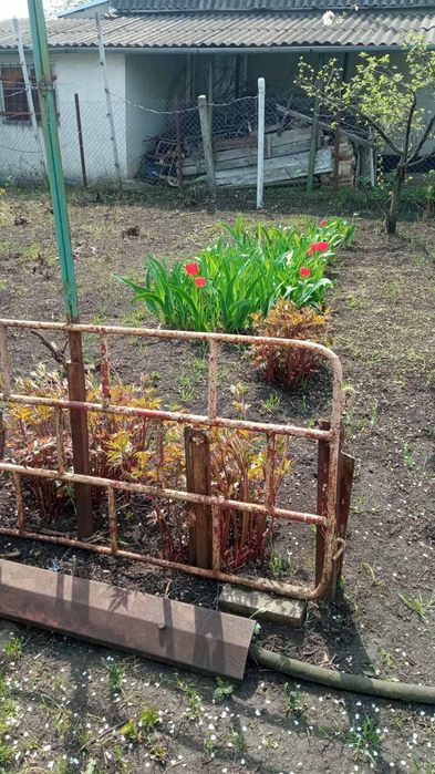 Продам дачу на Тилигульском лимане