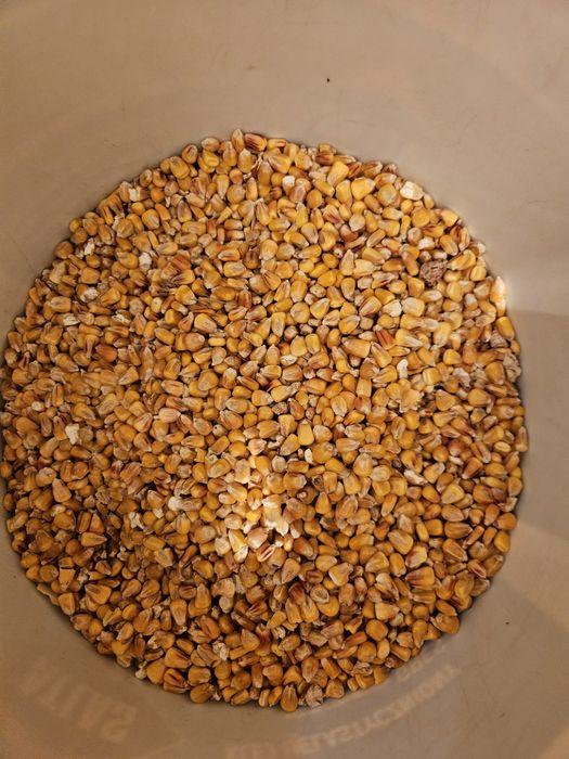 Artykuły wedkarskie