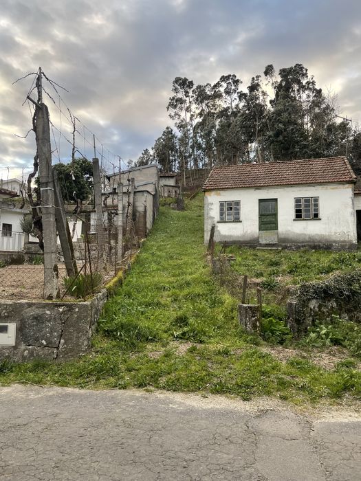 Terreno rustico