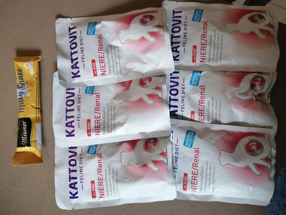 Saszetki Kattovit renal wołowina nerki