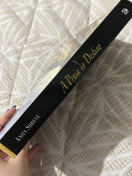 A Praia do Destino - Anita Shreve