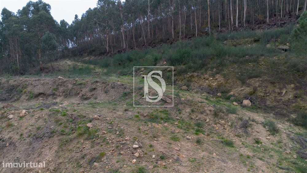 Terreno  Venda em Vandoma,Paredes