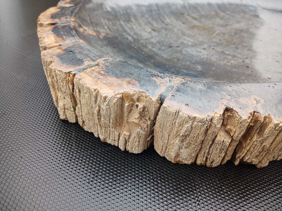 Dekoracja ze skamieniałego drewna Plaster patera39cm oryginał Indonezj
