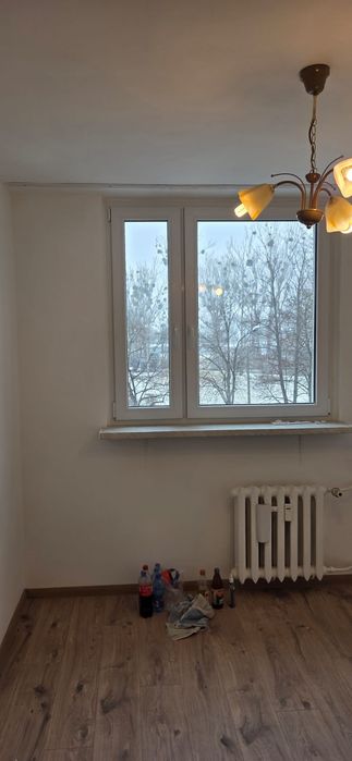 Wynajmę mieszkanie na Dambonia