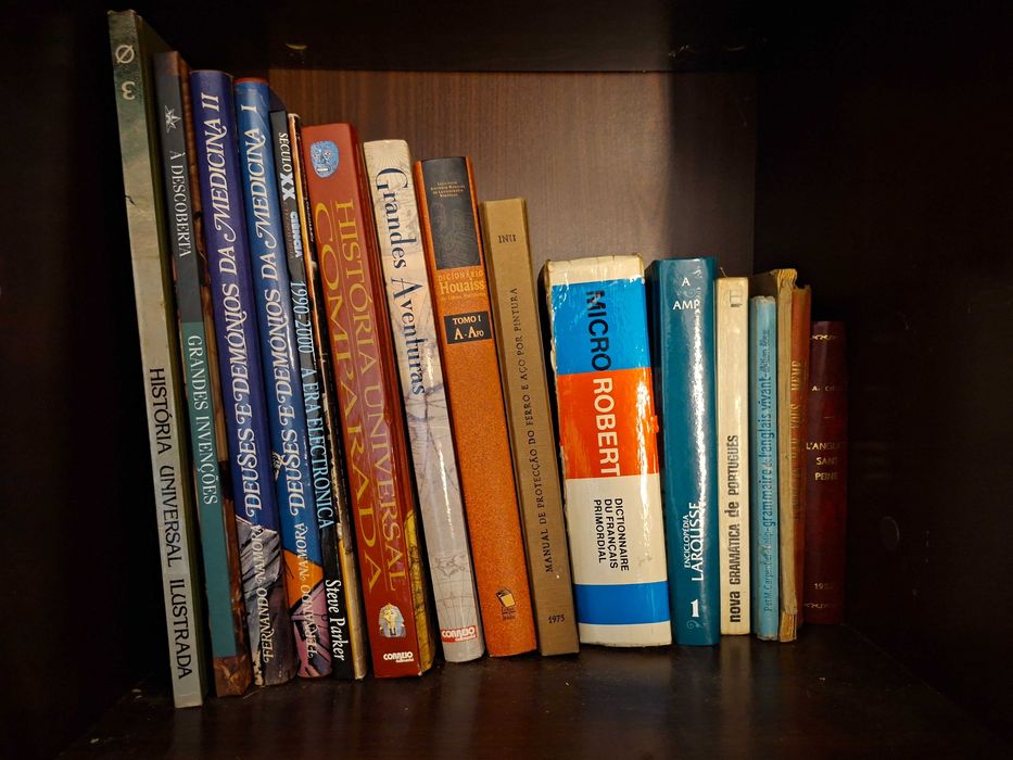 Livros de História e dicionários - Preço para lote