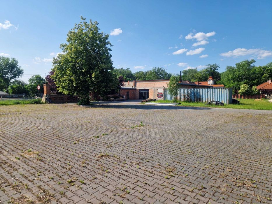 plac/hale na wynajem JAROGNIEWICE