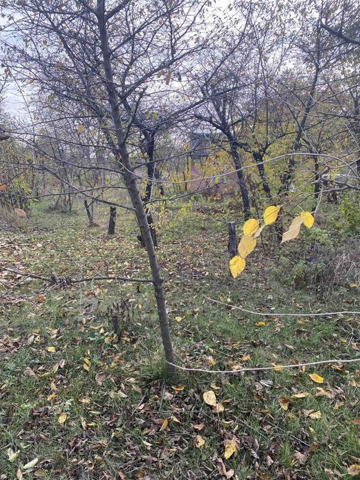 Продам дачний будинок