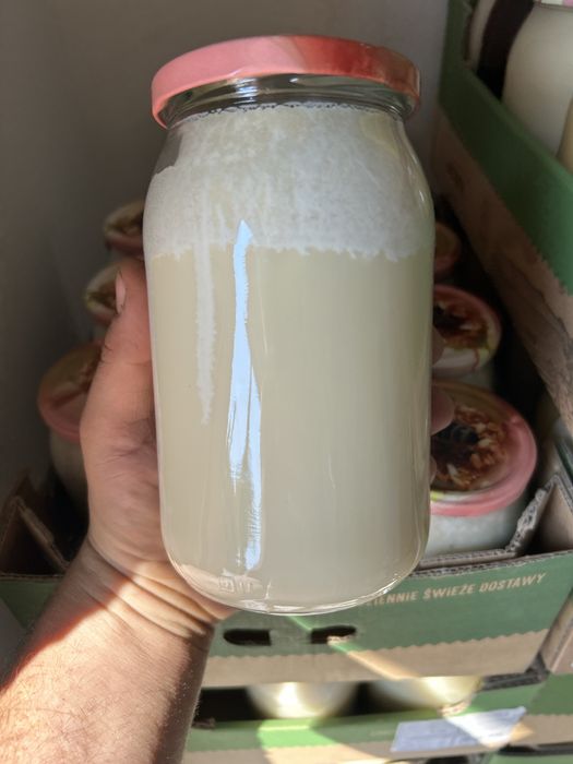 Pyłek pszczeli 500g sloik 900ml