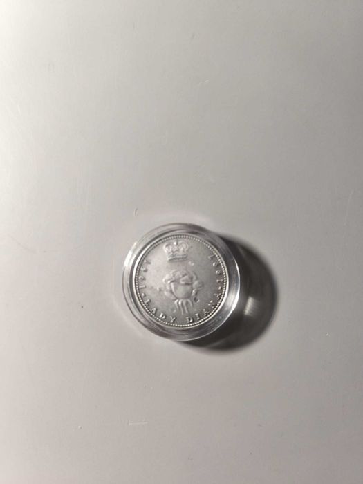Medalha de Homenagem a Diana, Princesa de Gales – Prata de Lei
