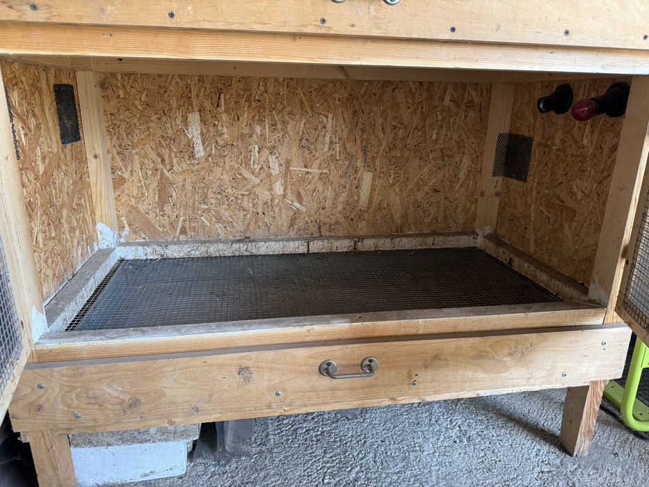 Брудер, для обігріву курчат, птиці