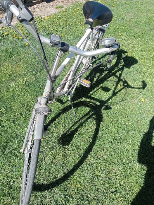 rower holenderski Altra w oryginale