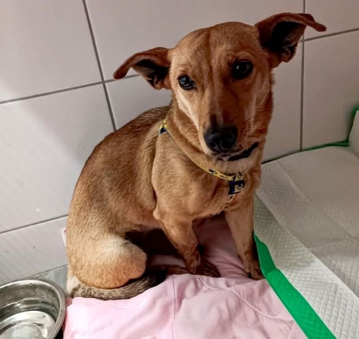 Nadusia prosi o szansę ...